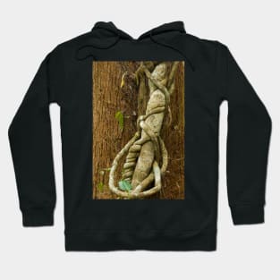 Vine Hoodie